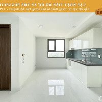 0937274317 Cho Thuê Căn Duplex Pega Suite