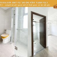 0937274317 Cho Thuê Căn Duplex Pega Suite