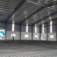 Cho Thuê Kho Xưởng Kcn Hải Sơn, Dt: 5.000M2 Xây Dựng: 3.400M2, Pccc Tự Động, 71.340Đ/M2, Long An