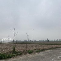 Bán Nhanh Mảnh Đất Diện Tích 82M2 Thổ Cư Nghĩa Đạo, Thuận Thành, Bn