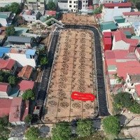 Chính Chủ Bán Lô Đất Đấu Giá Đại Áng, Thanh Trì, Hà Nội. Diện Tích: 50M2, Mặt Tiền 5M. Hướng Đông Bắc