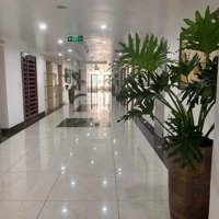 Bán Gấp Căn Góc 3 Phòng Ngủ160M2 Tòa 25T N05 Trung Hoà Nhân Chính Đã Cải Tạo Full Nội Thất Ở, Cho Thuê Tốt