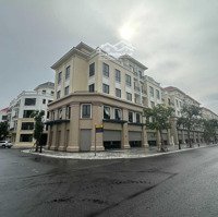 Cắt Lỗ Biệt Thự, Shophouse Dự Án Vinhomes Ocean Park 2 - The Empire