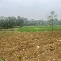 Bán 2200M2 Đất, Tại Thôn Dy Minh Quang Mặt Tiền 80M. View Cánh Đồng