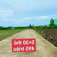 5×31Thổ Lạc Tấn. Tân Trụ.long An 495 Triệuiệu (Chuẩn Bị Xác Nhập Tp Tân An)