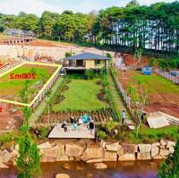 Cần tiền bán gấp lô đất nghỉ dưỡng 200m2 view hồ ở Bảo Lộc sổ sẵn giá 320tr