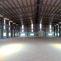 Cho Thuê Xưởng 2000M2 Trong Khu Công Nghiệp Tam Phước, Biên Hòa, Đồng Nai