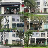 Hơn 50 Căn Shop/ Nhà Phố Vinhomes Cho Thuê Giá Từ 10 Triệu/Tháng