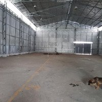 Cho Thuê Kho Đường Thoại Ngọc Hầu, Tân Phú - Diện Tích: 100M2, 250M2, 500M2 Đang Trống