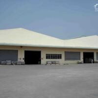 Cho Thuê Kho Xưởng Kcn Hải Sơn, Dt: 5.000M2 Xây Dựng: 3.400M2, Pccc Tự Động, 71.340Đ/M2, Long An