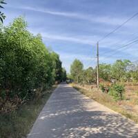 Đất nền thổ cư giá chỉ 500 triệu - SHR đường bê tông 5m Xuân Lộc