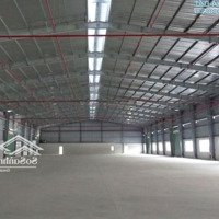 Cho Thuê Kho Xưởng 1.500M 2, 50 Triệu/Tháng,Mặt Tiềnchu Huy Mân, Q. Sơn Trà