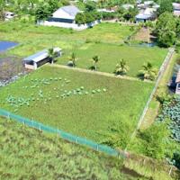 Cần Nhượng Lại Đất Làm Farm Ngay Trung Tâm xã Diên Đồng