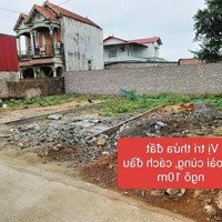 [Hiếm] Bán Đất Tại Thanh Trí Minh Phú Sóc Sơn, Sát Đường Liên Thôn Rộng 10M, Gần Trung Tâm Chợ