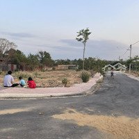 Bán Đất Bình Minh Trảng Bom Đồng Nai Sổ Riêng Thổ Cư Full Giá Rẻ 1Ty 150 Triệu/Nền.