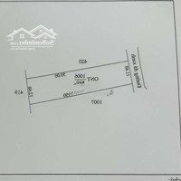 Mặt Tiền Đường Nhựa, Vị Trí Cực Đẹp, 11X50=560 M² Thổ Cư,Sổ Hồng Riêng