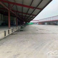 Xưởng Chuẩn Logistics Thuận An, 62_65K/M