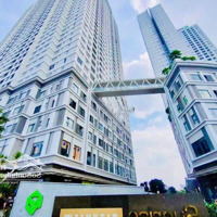 Chính Chủ Cho Thuê Sunrise Cityview Ntcb 3 Phòng Ngủ 2 Vệ Sinhgiá 19 Triệu/Th