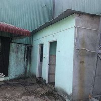 Cho Thuê Xưởng Xa Dân Có Trạm Điện 250Kva, Vĩnh Tân Tân Uyên