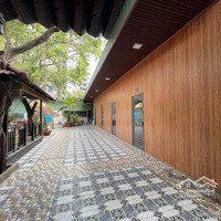 Cho Thue Mặt Bằng 1320M2 Nguyễn Lương Bằng Quân 7