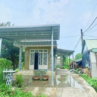 Cho Thuê Nhà Vườn Cấp 4, 300M2, Gần Mầm Non Phước Thạnh, Ấp Phước Hưng