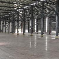 Cho thuê Kho xưởng Kcn Cầu Tràm, Cần Đước, Long an. dtkv 6050m2, dt xưởng-vp: 4000 m2.