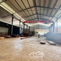 Cho Thuê Kho 1000M2 Thành Nhất