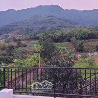 Bán Khuôn Viên Nhà Vườn Chỉ Việc Về Ở Tại Tiến Xuân, Hà Nội