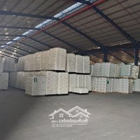 Cho Thuê 100M2 - 20.000M2 Kho, Bãi, Nhà Xưởng Tại Kcn Hải Sơn Pccc Đầy Đủ Dịch Vụ Phụ Trợ Giá Tốt