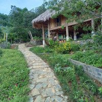 Chính Chủ Gửi Bán Homestay View Hồ Tại Xóm Mơ Xã Hiền Lương Gần Mơ Villas