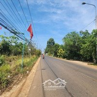 Bán Vườn Sầu Riêng 8.000M2 Xã Xuân Bảo, Cẩm Mỹ, Đồng Nai Có 1,2 Tỷ/Sào
