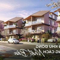 Bán Biệt Thự Song Lập 293.7M2 Vinhomes Royal Island Giá Chỉ 28.5 Tỷ