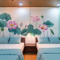 Homstay 2 Tầng Cực Đẹp-Dòng Tiền 45 Triệu/Tháng-Đường Trưng Nữ Vương