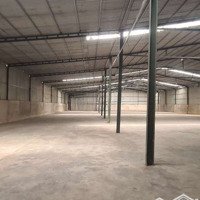 Xưởng Cho Thuêdiện Tích2000M2 Giá 140 Triệu An Phú Đông Q12