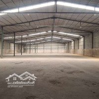 Xưởng Cho Thuêdiện Tích2000M2 Giá 140 Triệu An Phú Đông Q12