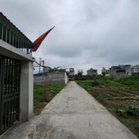 Cần bán lô đất đẹp ngõ rộng 4m  tại Đồng Thái, An Dương, Hải Phòng.