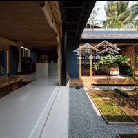 Hoi An Villa For Rent - Cho Thuê Villa Đẹp Cẩm Thanh Hội An - Gần Sông