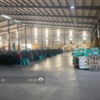 Chính Chủ Cho Thuê Kho Xưởng 3,200 M2 Tại Đường Dt824, Xã Đức Hòa Hạ Huyện Đức Hòa, Tỉnh Long An