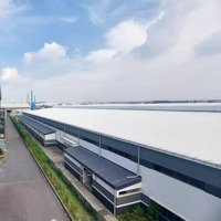 Cho Thuê Xưởng 5000 - 10.000M2 Trong Khu Công Nghiệp An Phước, Long Thành, Đồng Nai