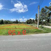 Bán lô đất full thổ 2 mặt tiền đường Nguyễn Thị Châu 1/ TL15 9x29 (261m), Củ Chi bán lỗ 1 tỷ xxx