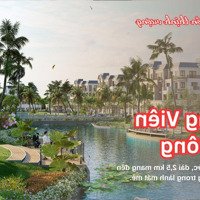 Mở Bán Kđt Hành Chính Thủ Thừa Giai Đoạn Đầu - Đất Nền, Nhà Phố, Shophouse Đầy Đủ Pháp Lý