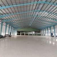 Cho Thuê Kho Mới Xây 3000M2 Có Pccc Tự Động Tại Ql1A - Bình Chánh