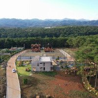 Cắt Lỗ 50% Lô Đất Biệt Thự Rừng Thông Amavi. View Thông 25Ha, Đẹp Như Đà Lạt !!