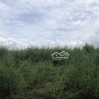 Bán Thửa Đất Tại Thị Trấn Tân Phú, Giá Tốt