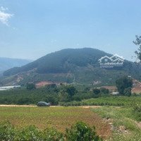 Đất View Thung Lũng Khu Villa Tại Mê Linh (Chính Chủ)