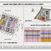 Giỏ Hàng Chung Cư Mường Thanh Viễn Triều Nha Trang, Cập Nhật Ngày 26/3 Giá Chỉ Từ 1.02 Tỷ/Căn