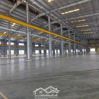 Cho Thuê Kho Xưởng Ccn Hải Sơn,Dt: 5.000M2, Giá: 3 Usd/M2, Long An