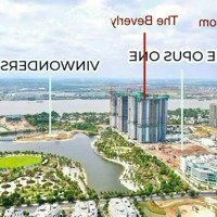 Bán Căn Hộ The Beverly Ngay Cạnh Vincom Mega Mall - Vinhomes Grand Park