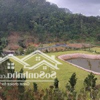 Bán Lô Đất Khu Làng Dường Sinh 4,5 Ha Chinh Chủ.