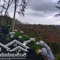 Bán Lô Đất Khu Làng Dường Sinh 4,5 Ha Chinh Chủ.